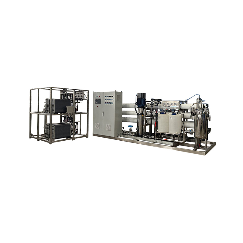 Reverse Osmosis EDI Unit